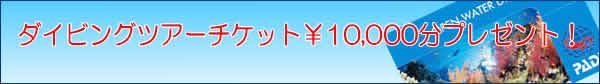 ダイビングチケットプレゼント