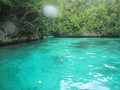 IMG_0973