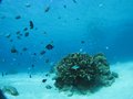 ＩＸＹIMG_0278 (17)