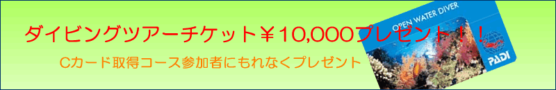 ダイビングツアーチケット1万円プレゼント